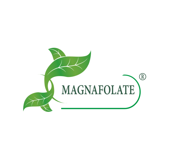 Zer da Magnafolate®? Folato VS Azido folikoa, Zein da aldea?