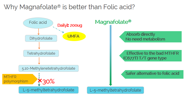 Zergatik da hobea Magnafolate azido folikoa baino?