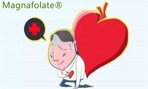 L-5-metilfolatoa: trazua eta bihotz-erasoaren arriskua murriztu dezake