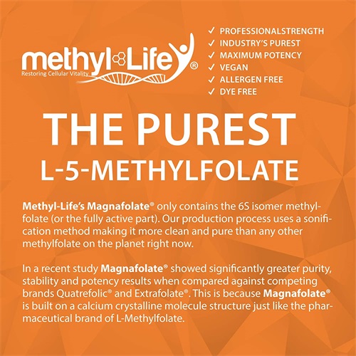 Zer da L-metilfolatoa (5-MTHF)