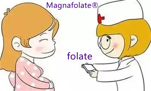 Nola lortu behar dugu folato egokia?