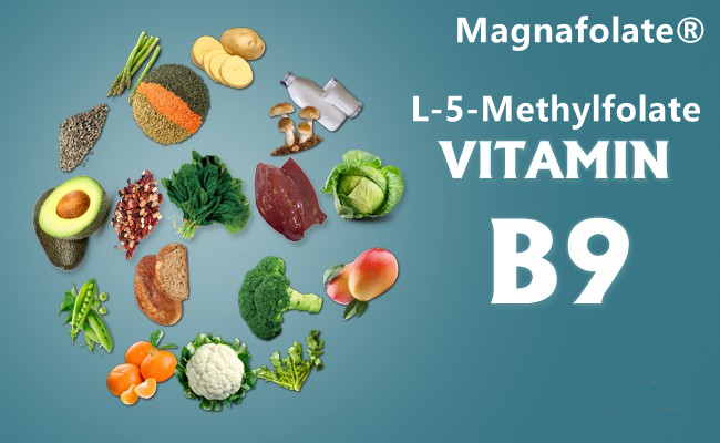 Zer da L-5-Methylfolate?