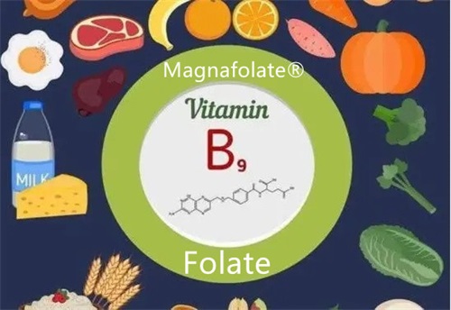 Zer da folato-gabeziaren anemia?
