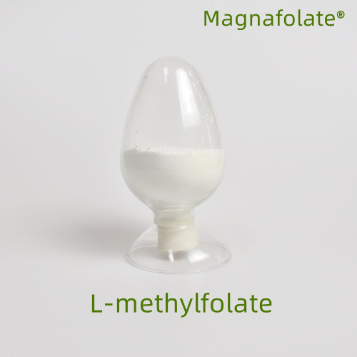 Zer da l-metilfolatoa?