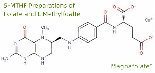 5-MTHF Folate eta L Methylfoalte prestaketak