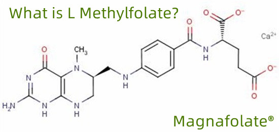 Zer da l-metilfolatoa?