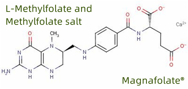 L Methylfolate-ren fabrikatzaile eta hornitzaile globala
