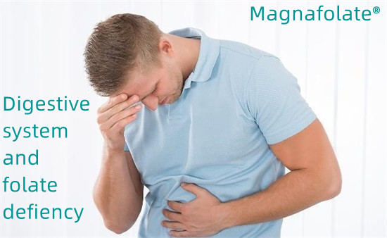 Digestio-aparatua eta folato gabezia-Magnafolatoa