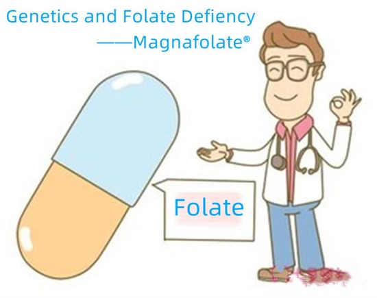Genetika eta folato-gabezia-Magnafolatoa