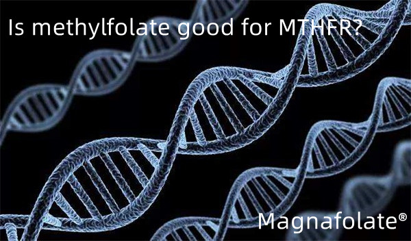 Metilfolato ona al da MTHFRrentzat?