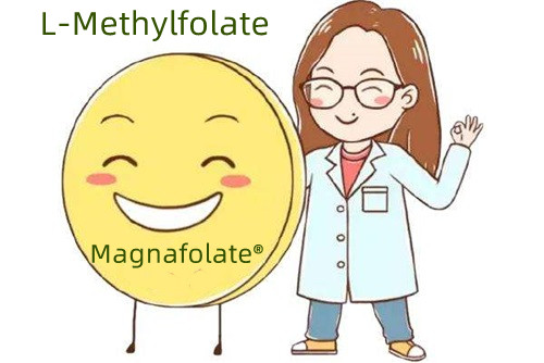 Zergatik da metilfolatoa azido folikoa baino hobea?