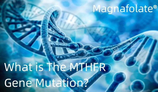 Zer da MTHFR genearen mutazioa?