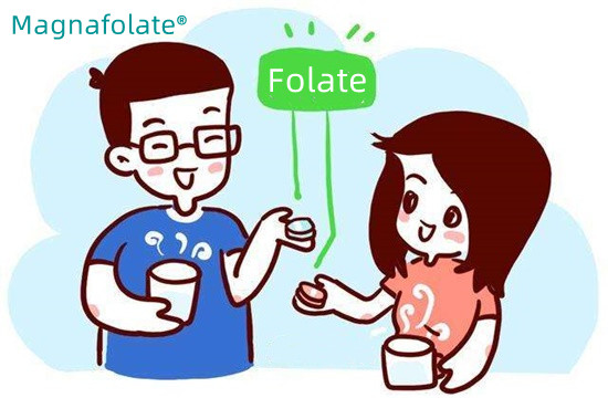 Zenbat folato hartu behar duzu egunean?