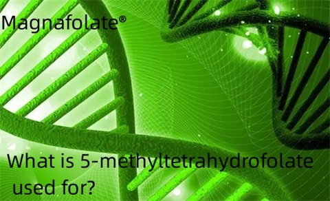 Zertarako erabiltzen da 5-metiltetrahidrofolatoa?
