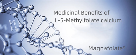 L-5-Methylfolate kaltzioaren sendagai-onurak