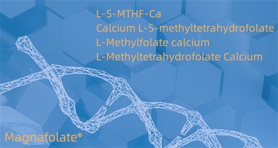 Kaltzio L-5-metiltetrahidrofolatoa Cas151533-22-1