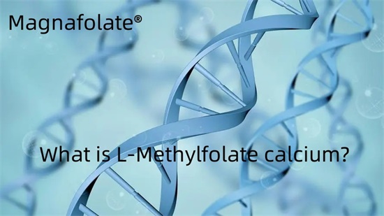 Zer da L-Methylfolate kaltzioa?