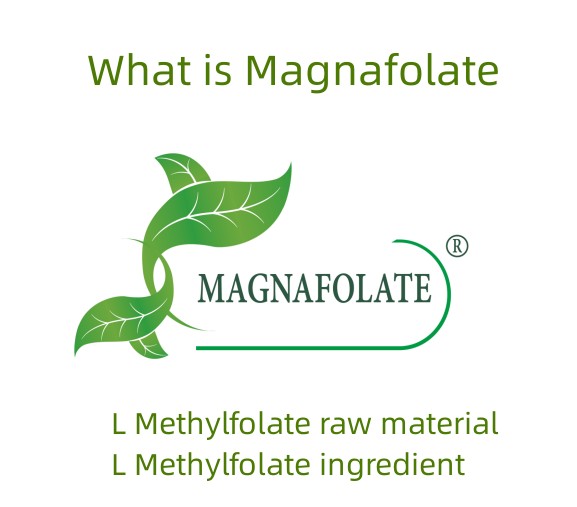 Zer da Magnafolate?