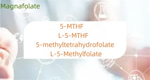 Zein da 5-metiltetrahidrofolatoaren eta folatoaren arteko aldea