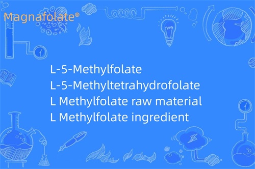 Zer egiten du L metilfolatoak?