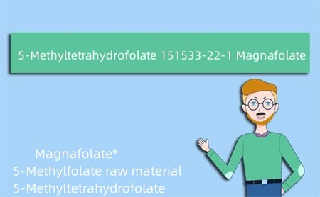 5-Metiltetrahidrofolatoa 151533-22-1 Magnafolatoa