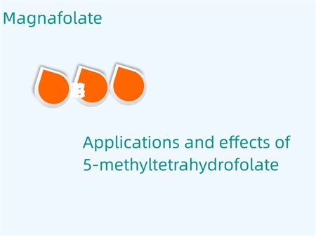 5-metiltetrahidrofolatoaren aplikazioak eta ondorioak