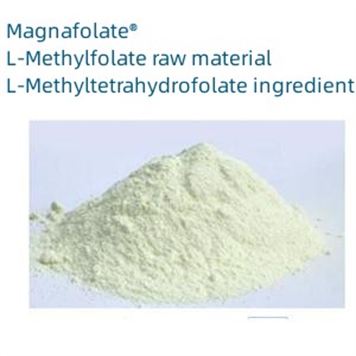 L-5-metiltetrahidrofolato kaltzioa 151533-22-1