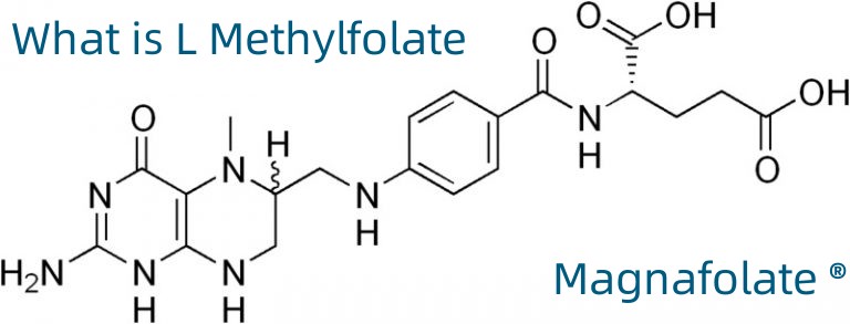 L-5-metiltetrahidrofolatoa kaltzioa CAS zenbakia: 151533-22-1