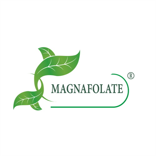 Kaltzio L-5-metiltetrahidrofolatoa, Bazkidea, Fabrikatzailea