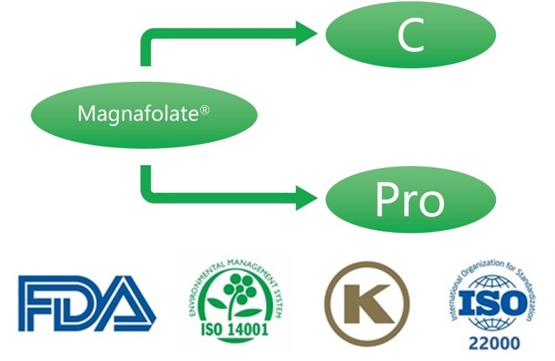 Zer da kaltzio L-5-metiltetrahidrofolatoa? Zeintzuk dira hornitzaileak?