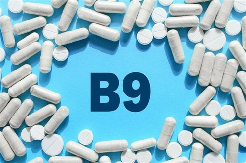 L-5-metiltetrahidrofolato kaltzio--Magnafolatoaren eginkizuna