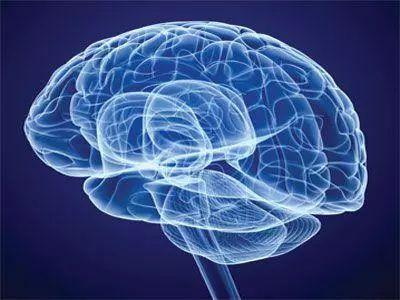 Folatoak nerbio-sistema babesten du eta dementzia eta parkinsona saihesten ditu