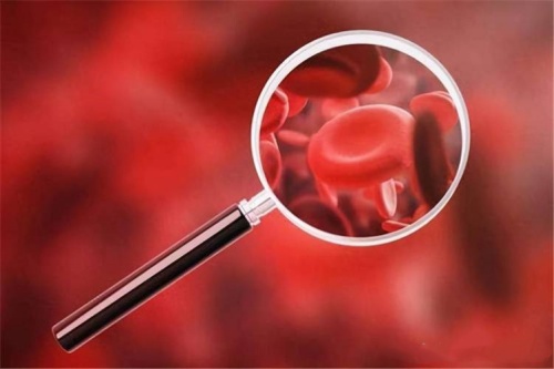 Zergatik Folato Gabeziak Anemia eragiten du