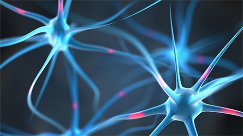 Zergatik Folato gabeziak arazo neurologikoak sor ditzake