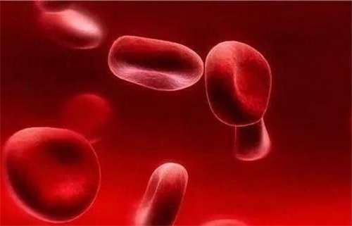 Zergatik folato gabeziak sistema immunologikoa arazoak eragiten ditu