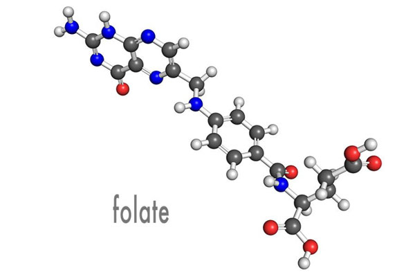 Folato Aktiboen Impurities-en Sarrera Seriea