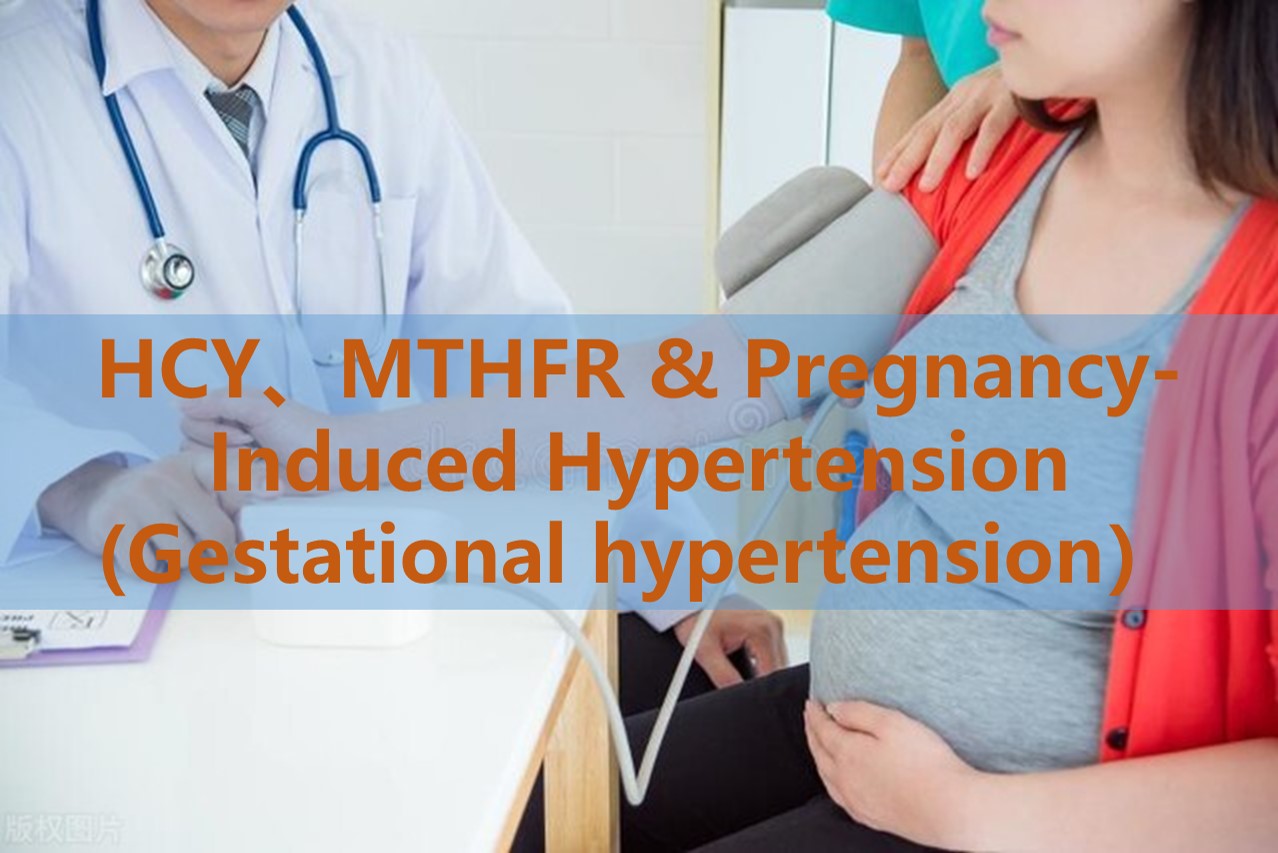 Folate osagarria eta haurdunaldia eragindako hipertentsioa (hipertentsio gestazionala): homocysteine ​​mailen eta Mthfr polimorfismo genetikoen eginkizuna