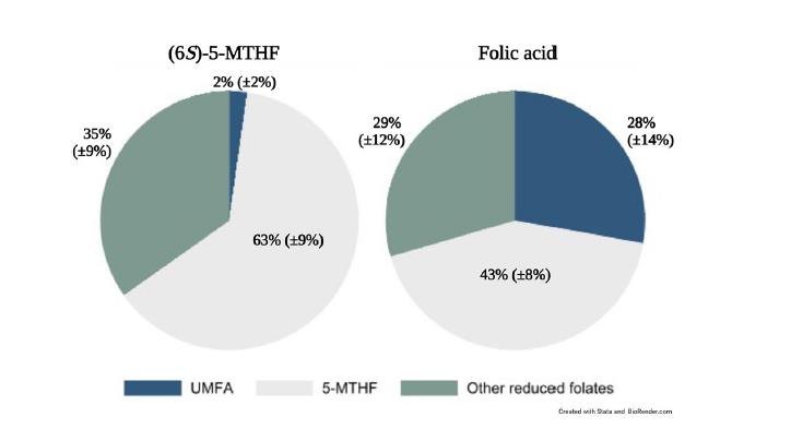 Kontuz! Scientific Reports-en egindako ikerketa batek baieztatzen du edoskitzen ari diren emakumeek azido folikoarekin osatzen dutenean, beren esnearen folatoaren % 28 metabolizatu gabeko azido foliko erabilezina (UMFA) dela, forma bioaktiboa hartzen duten amek baino 14 aldiz handiagoa.